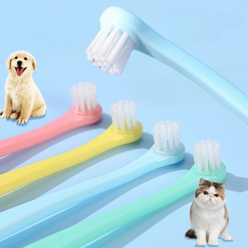 Hondentandenborstel Hondentand - Teeth Whitening Brush recensie en prijs